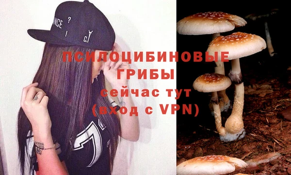 мескалин Богородск
