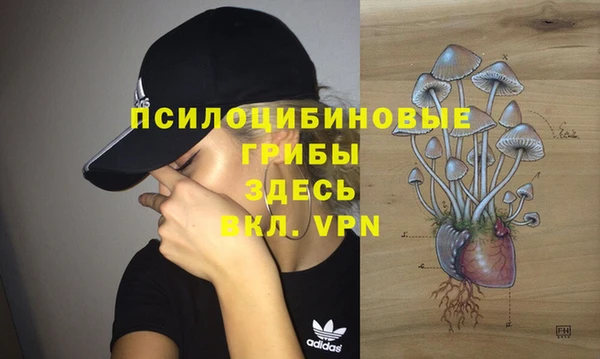 МДМА Богородицк