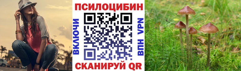 сколько стоит  Котельники  omg зеркало  Псилоцибиновые грибы прущие грибы 